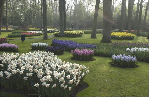 Keukenhof