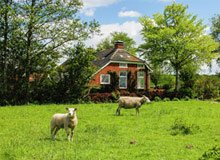 Ferienwohnungen in den Niederlanden