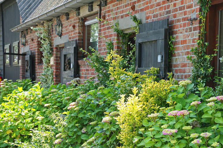 Biezenpolder Biezenpolder