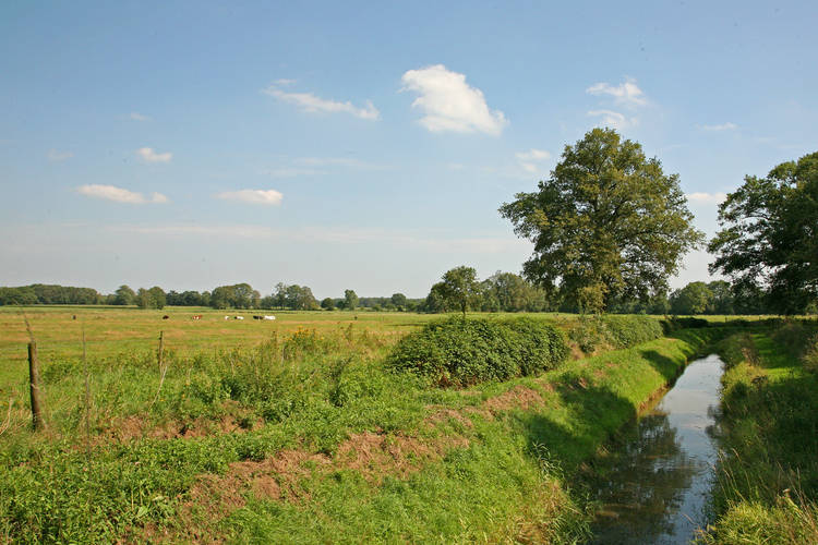 De Grenswachter  De Daele