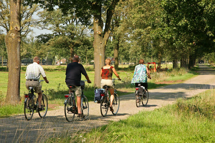 De Grenswachter  De Daele