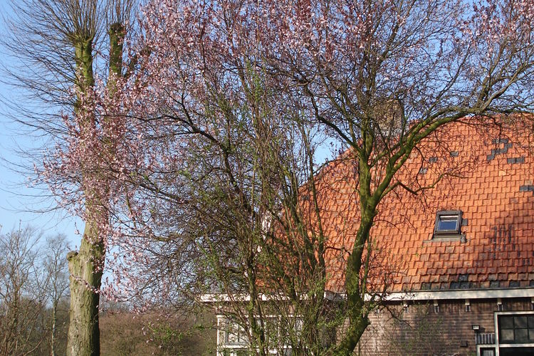 De Holthaar De Holthaar