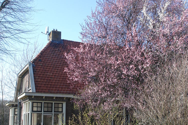 De Holthaar De Holthaar