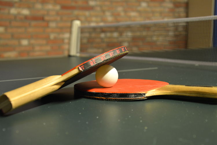 De Paddestoel De Paddestoel