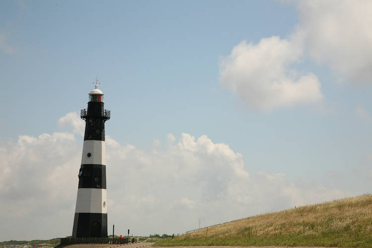 De Zeeschelp De Zeeschelp