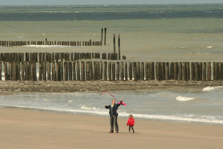 De Zeeschelp De Zeeschelp