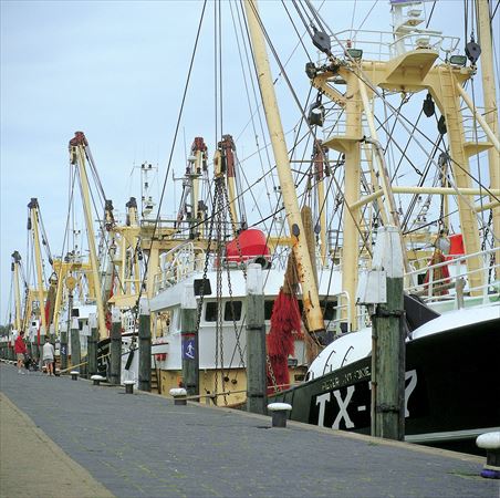 Kustpark Texel