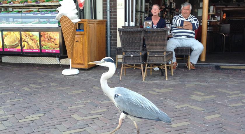 Apartments Waterland (Kamerverhuur Waterland)