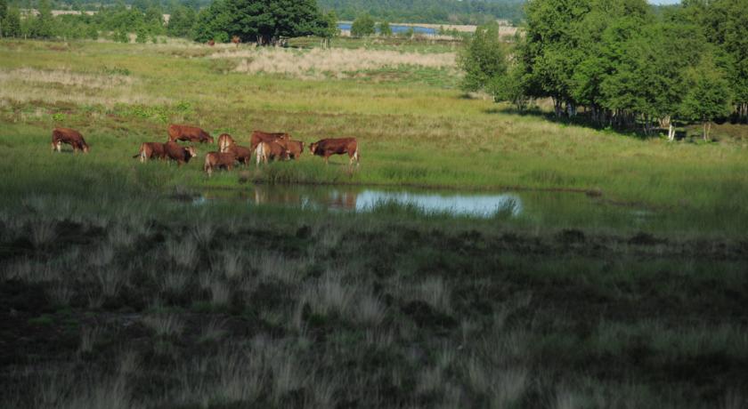 Hampshire Hotel Zuid-Drenthe