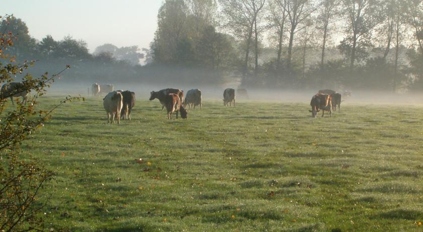 Linge Hotel Elst Linge Hotel Elst