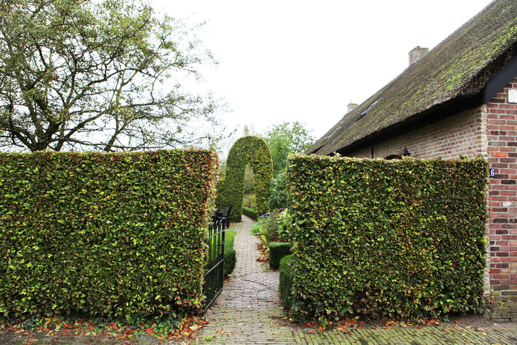 De Blauwe Hoeve De Blauwe Hoeve