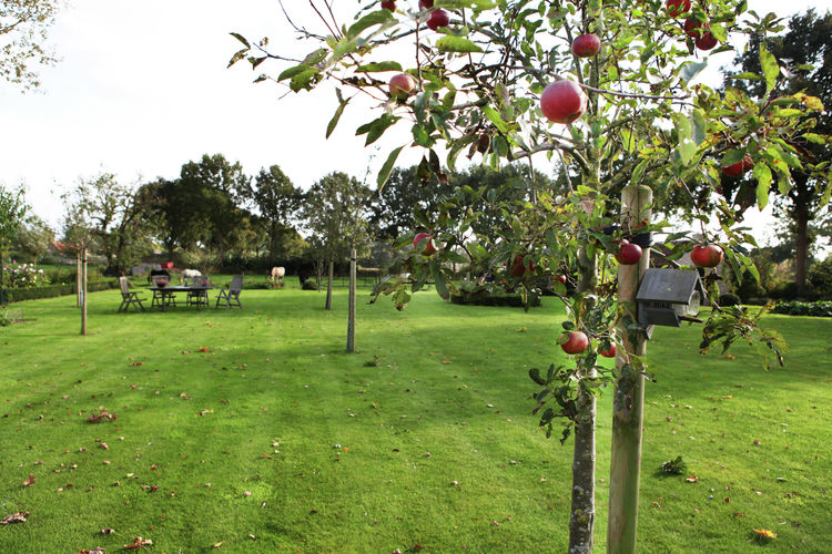 De Blauwe Hoeve De Blauwe Hoeve