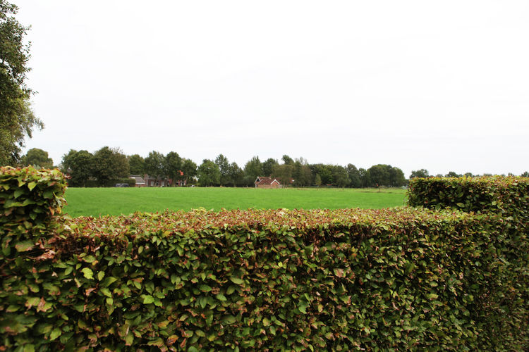 De Blauwe Hoeve De Blauwe Hoeve