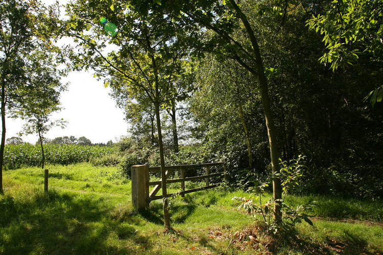 De Grenswachter De Daele De Grenswachter De Daele