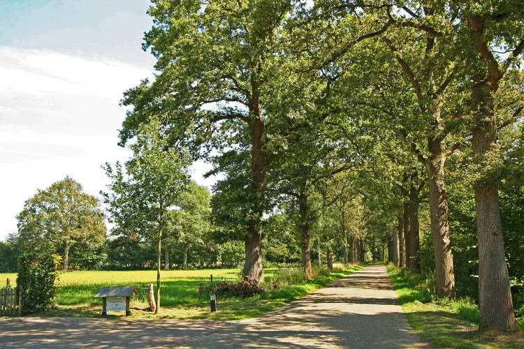 De Grenswachter De Daele De Grenswachter De Daele