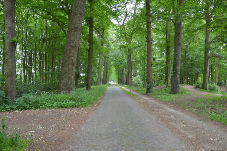 Ruimzicht Ruimzicht
