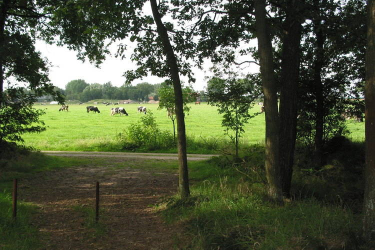 Vakantiepark Herperduin Vakantiepark Herperduin
