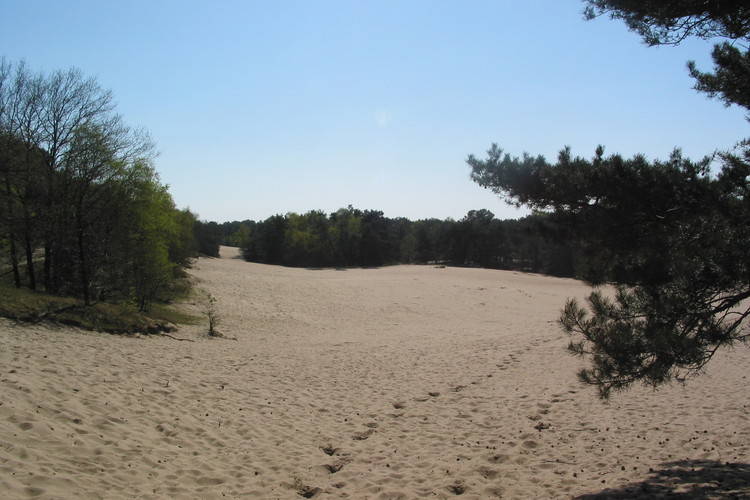 Vakantiepark Herperduin Vakantiepark Herperduin