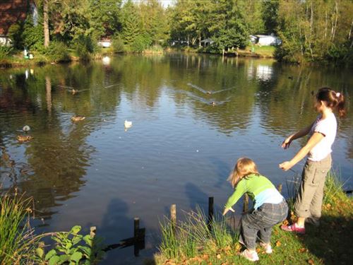 Ferienpark Adelhof Ferienpark Adelhof