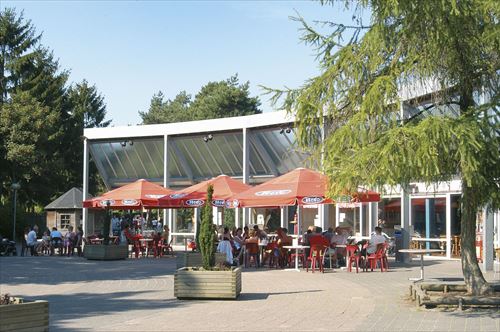 Ferienpark de Katjeskelder Ferienpark de Katjeskelder