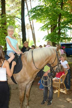 Ferienpark de Scheleberg Ferienpark de Scheleberg