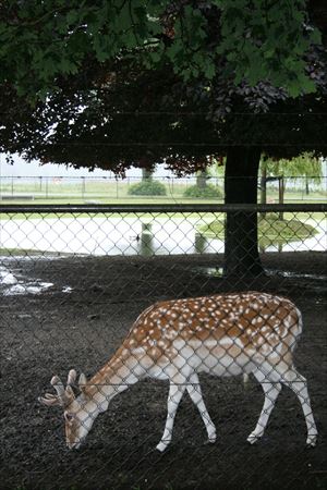 Ferienpark De Twee Bruggen