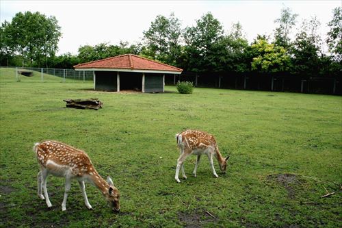 Ferienpark